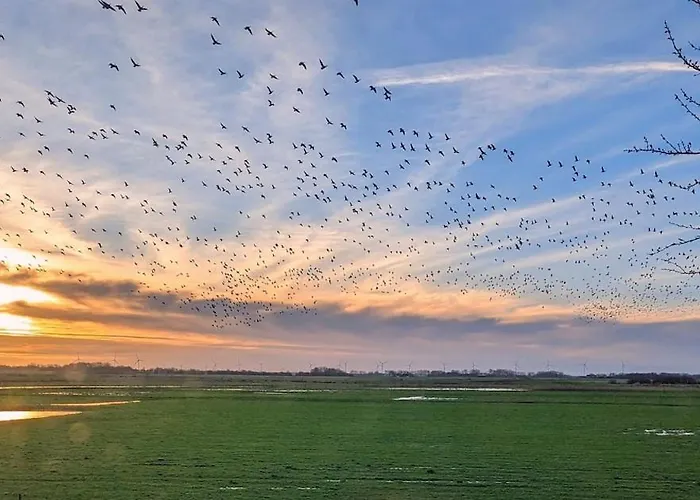 Hygge Am Prázdninový dům